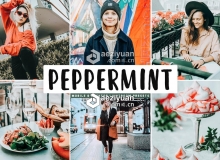 人物照薄荷色与橙色明亮暖色调LR预设 Peppermint Lightroom Presets