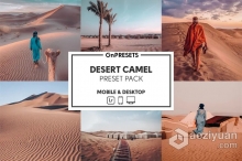 旅拍沙漠风光摄影后期调色Lightroom预设 OnPresets-DESERT CAMEL