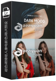 暗色调情绪人像电影色调LR预设/手机APP预设 Dark Mood Lightroom Presets