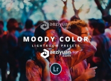 穆迪颜色Lightroom的预设 Moody Color Lightroom presets