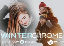 冬天的Lightroom预设 Winter chrome Lightroom Preset