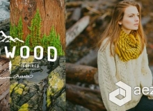 Red Leaf 工作室出品 Film Redwood Lightroom Presets 电影感胶片色调调色Lr预设