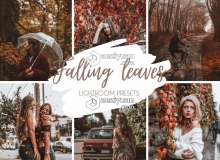 秋季色彩旅拍人像免费LR预设/手机APP滤镜 Falling Leaves Lightroom Presets