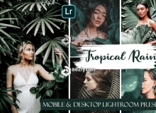 热带雨林调色LR预设+LR移动预设Tropical Rain Mobile & Desktop Presets