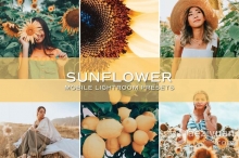 向日葵花田人像后期Lightroom预设+APP预设 5 Sunflower Lightroom Presets