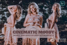 电影情绪人像后期调色Lightroom预设 Cinematic Moody Lightroom Presets