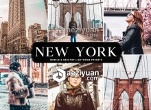 纽约旅拍街头人像风景Lightroom预设 New York Lightroom Presets