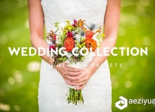 25组婚礼婚纱Lightroom预设合集 Wedding Collection Lightroom Presets