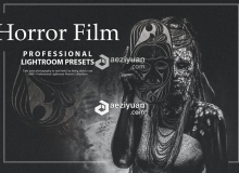 33组冷色调恐怖电影人像摄影调色LR预设 33 Horror Film Lightroom Presets