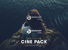 250个高级电影效果Lightroom预设 250 Premium Cine Lightroom Presets