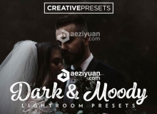 人像婚礼舒适温馨风格Lightroom预设 DARK AND MOODY LIGHTROOM PRESETS