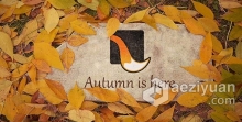 秋天地面叶子吹散展示石头上的LOGO动画视频片头 AE模板 AE工程文件 The Autumn Stone Logo