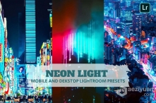 城市夜景风光摄影后期调色Lightroom预设 Neon Light Lightroom Presets