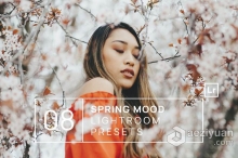 春季柔和哑光情绪人像后期Lightroom预设 Spring Mood Lightroom Presets