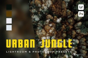 无人机丛林电影风光调色LR预设 6 Urban Jungle Lightroom and Photoshop Presets