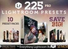 225组电影婚纱磨砂自然光Lightroom预设合集  225 Lightroom Presets Bundle