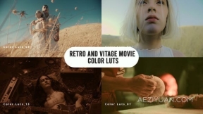 30个专业复古和经典老式电影色彩Luts调色预设下载 Retro and Vintage Movie Color LUTs