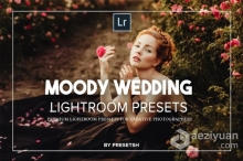 LR预设 情绪电影婚礼LR预设Moody Wedding Lightroom Presets