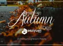 20组秋天照片增强Lightroom预设 Autumn Vibes - Lightroom Presets