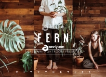 穆迪·费尔恩(Moody Fern)胶片LR预设Rich Warm FERN Lightroom Presets