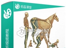 动物基本结构解析视频教程 Uartsy Animal Anatomy