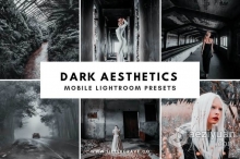 黑暗美学情绪人像Lightroom预设 Dark Aesthetic Lightroom Presets