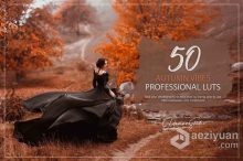 50个秋季电影色调LUT预设及Lightroom预设 50 Autumn Vibes LUTs and Presets Pack