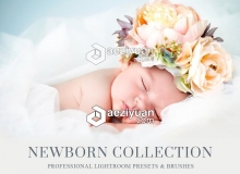 国外大师级新生儿后期修饰Lightroom预设Newborn Pro Lightroom Presets