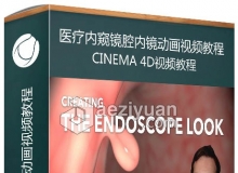 C4D医疗内窥镜腔内镜动画视频教程 Creating the Endoscope Look in Cinema 4D