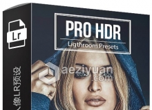 5个专业HDR质感人像LR预设 PRO HDR - 5 Premium Lightroom Presets