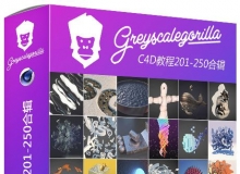 GSG灰猩猩C4D入门基础综合实例视频教程201-250合辑