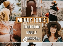 INS网红旅拍暖色调胶片手机版Lightroom预设Mobile Preset MOODY TONES