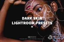 温暖肤色人像lr预设 10 DARK SKIN – Mobile & Desktop Lightroom Presets