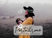 电影人像Lightroom预设下载 Portochrome Lightroom Presets