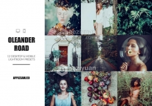 时尚梦幻电影胶片Lightroom预设/移动APP滤镜 Oleander Road Lightroom Presets