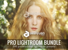 专业Lightroom预设合集 Pro Lightroom Presets Bundle