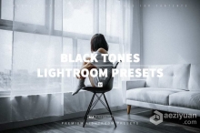 中性灰INS人像lr预设 BLACK TONES – Mobile&Desktop Lightroom Presets