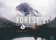 森系摄影风光大片Lightroom预设下载 Lightroom Presets Moody Forest