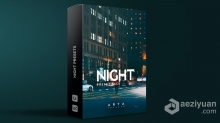 ARTA Presets - 城市夜景街拍电影风光LR预设 ARTAPresets Night Lightroom Presets