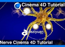 C4D神经系统建模材质渲染视频教程 Nerve Cinema 4D Tutorial