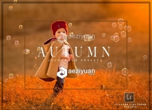 秋天的Lightroom预设合集 Autumn Lightroom Preset Bundle