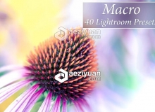 40组微距摄影后期Lightroom预设 40 Macro Lr Presets