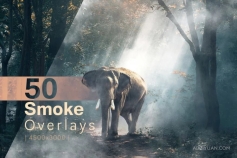 50张晨曦朦胧薄雾烟雾艺术氛围增强照片叠加图片素材 Smoke Overlays