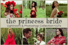 外拍森系人像后期调色Lightroom预设 Princess Bride Lightroom Presets