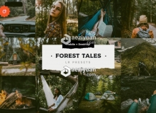 森系旅拍电影INS滤镜胶片LR预设 Forest Tales Lightroom Presets