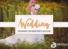 45组唯美浪漫婚礼爱情故事摄影Lightroom预设 Wedding Lightroom Presets Collection