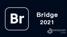 Adobe Bridge 2021 v11.0 Mac BR 2021中英文破解版下载