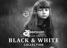 50组黑白人像风景 B&W Collection Lightroom Presets