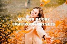 秋季情绪风光人像调色Lightroom预设 AUTUMN MOODY Lightroom Presets