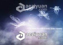 抽象流光飞鸟特效片头动画AE模板 Videohive Concept of Freedom